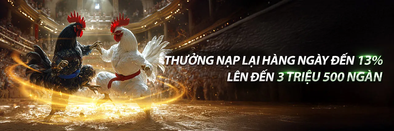 Đá Gà Trực Tiếp Thomo Xpam